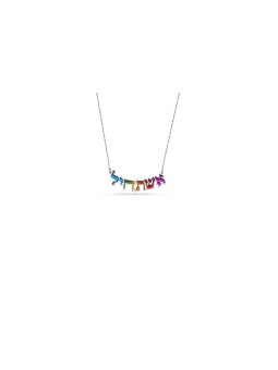 שרשרת אשת חיל בצבע אמייל בצבע כסף, משפחת כסף סטרלינג